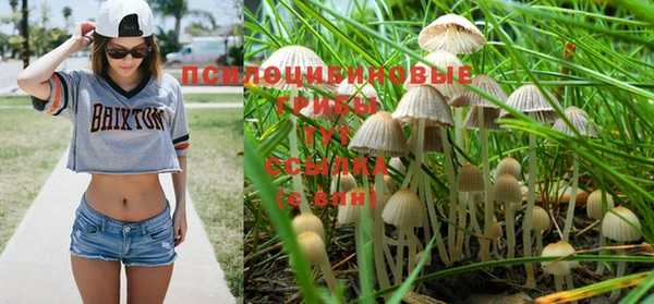 винт Володарск