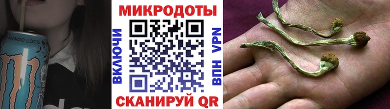 Галлюциногенные грибы Cubensis  Мончегорск 